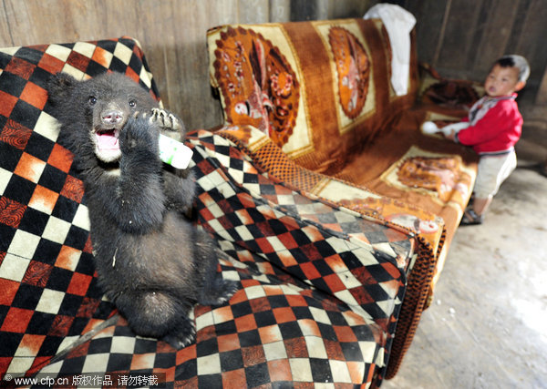 Farmer helps with the bear necessities of life