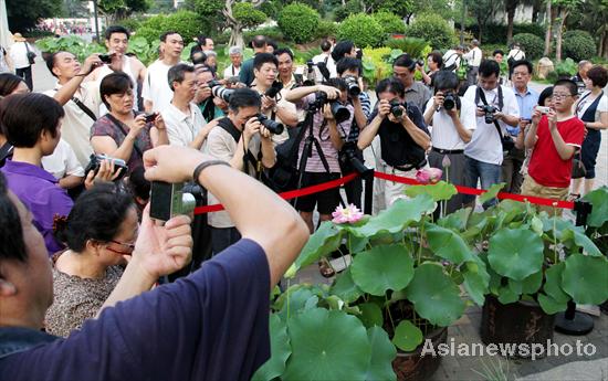 Twin lotus flowers bring romance to Fujian park