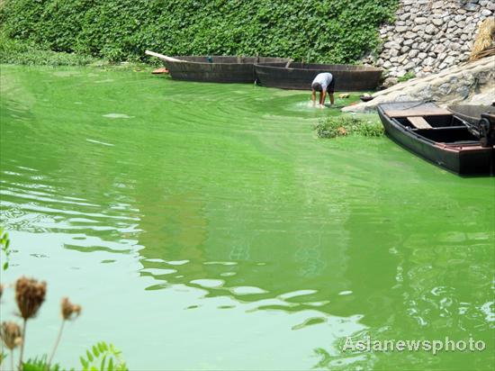 Chaohu Lake sees large algae expansion