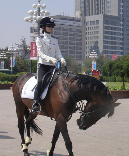 New police squad starts patrol on horseback