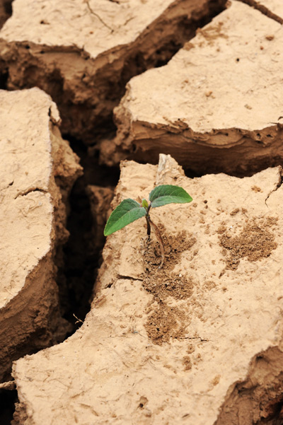 C China's Hunan hit by lasting droughts