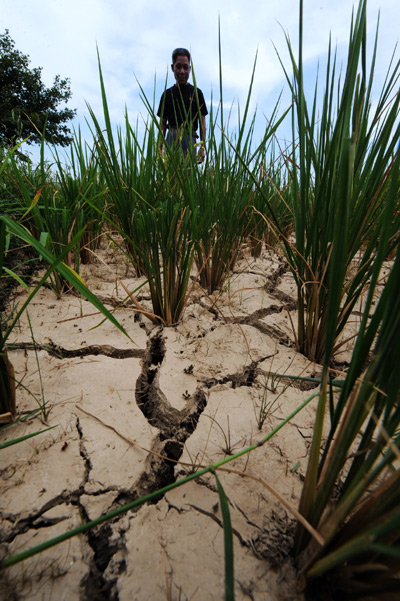 C China's Hunan hit by lasting droughts