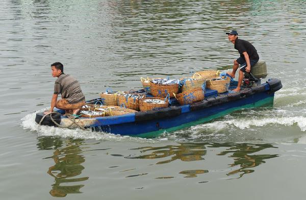 Fishing season beckons in S China Sea