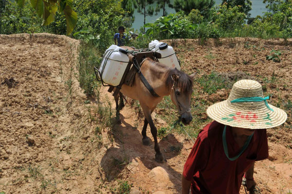 Long trek for water