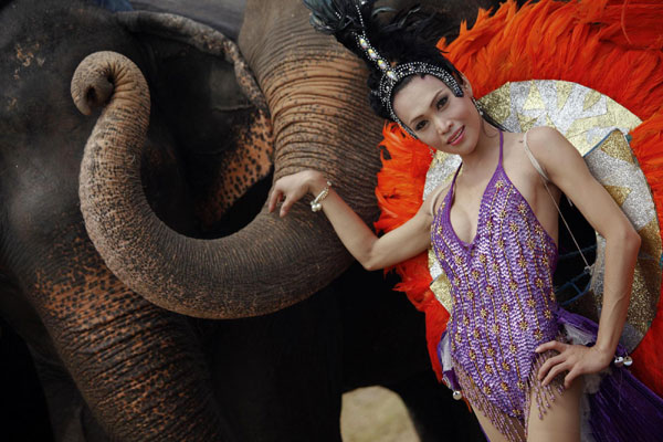 Elephant Polo in Thailand