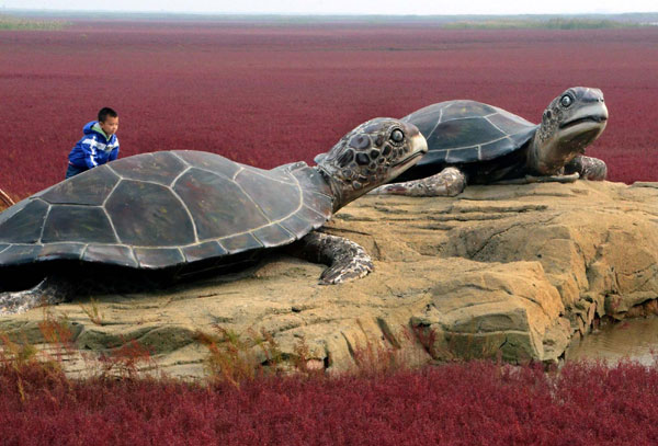 Red-blanketed beach in NE China