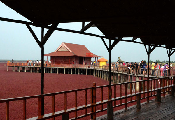 Red-blanketed beach in NE China