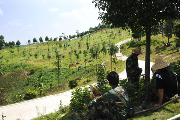 20,000 trees to be planted on a former golf course