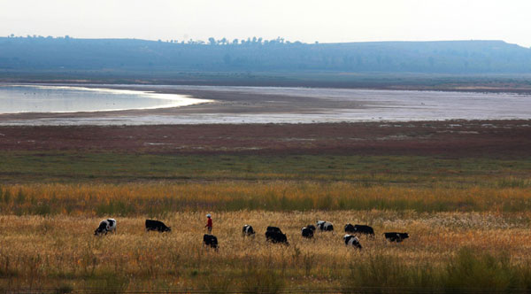 China's largest desert lake shrinking