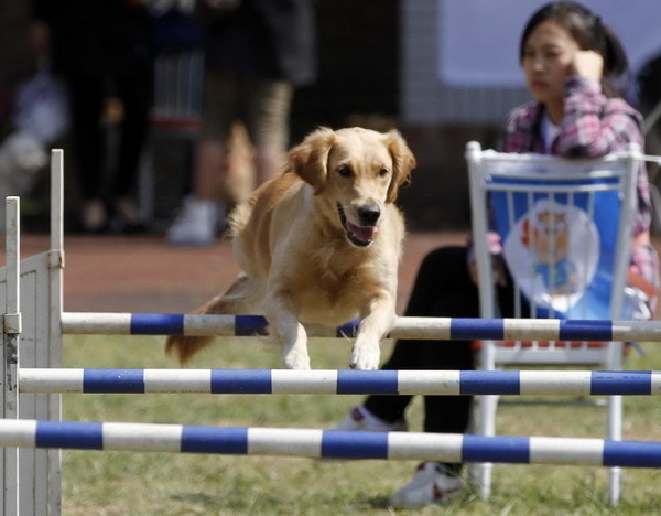 Canines compete in sports meet