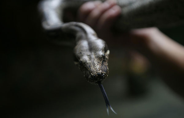 Zoo raises public awareness of endangered animals