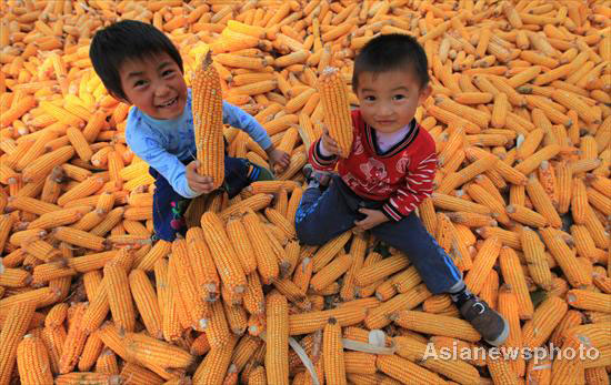 Autumn photos: A golden harvest in E China
