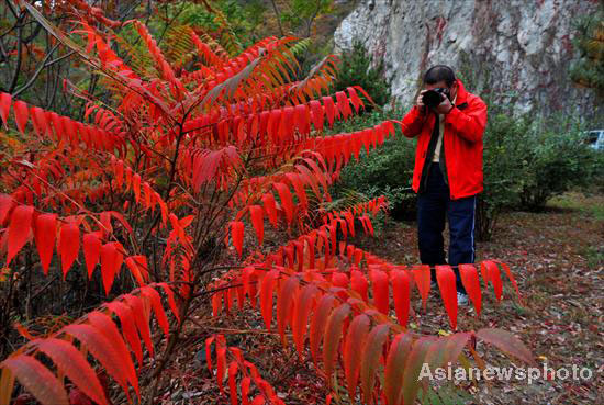 Autumn photos: Suburban Beijing