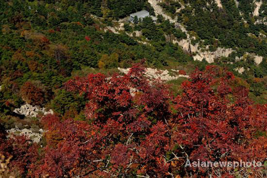 Autumn photos: Mount Tai shines