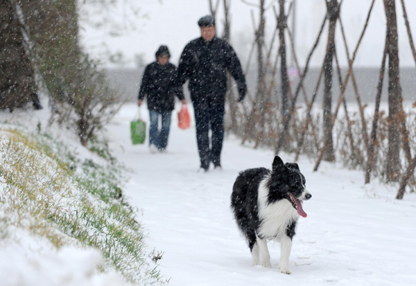 NE China city sees first snow in this winter