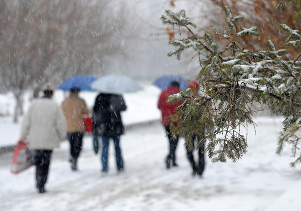 NE China city sees first snow in this winter