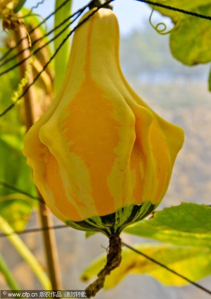 Vegetables created by weird science