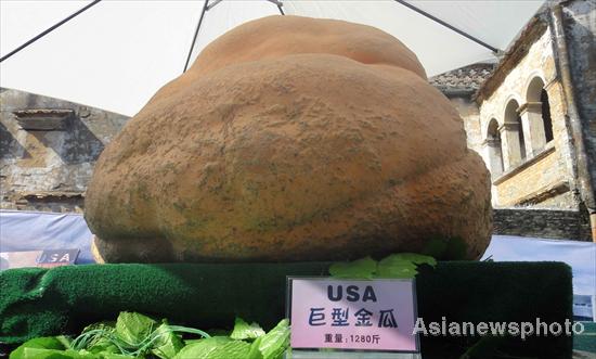 Super pumpkins on display