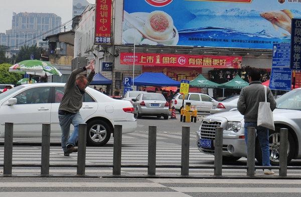 Finnish man stops traffic by force of nature