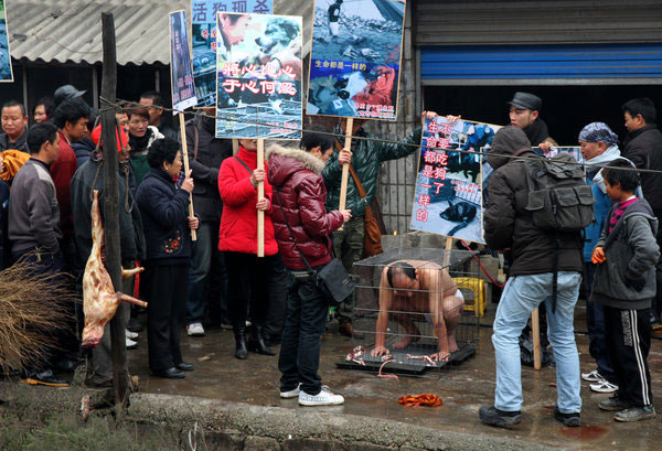 Dog protection message taken to butchers