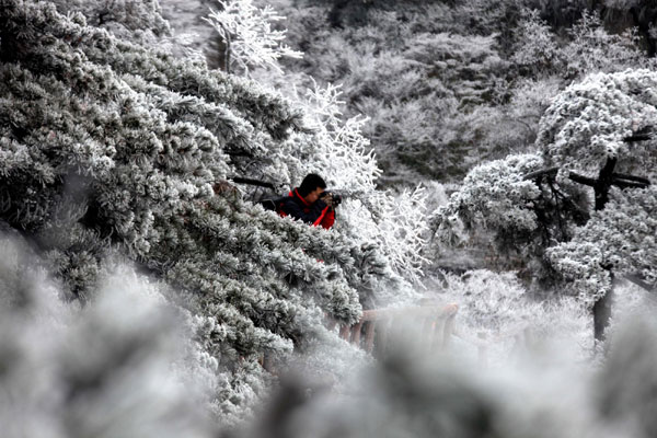 Yellow Mountain covered in frost