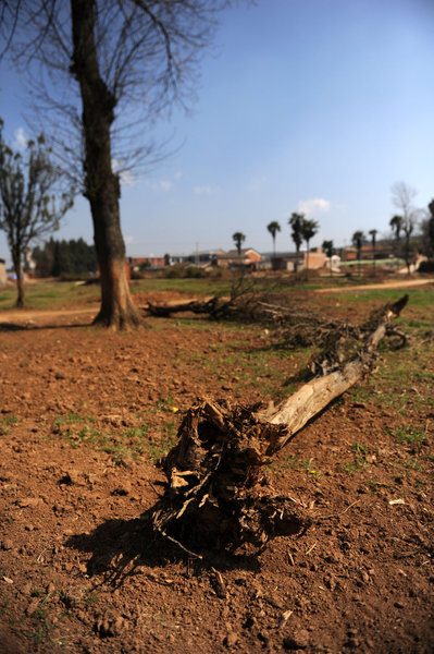 Continuous drought plagues SW China province