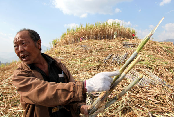 China Daily Weekly Photos