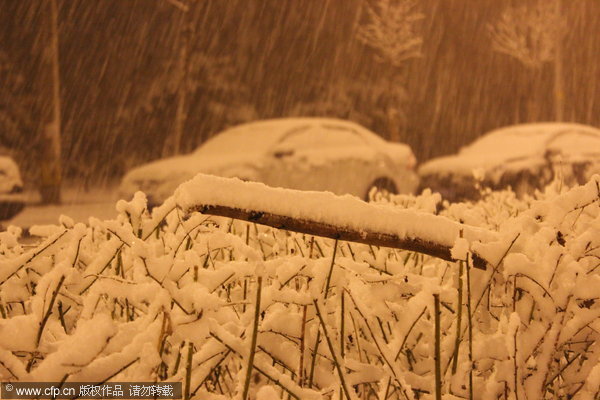 Spring snow blankets Beijing