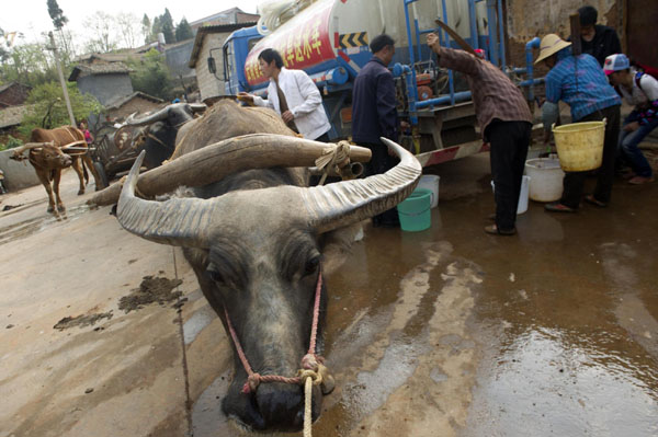 Lingering drought hits SW China's Yunnan