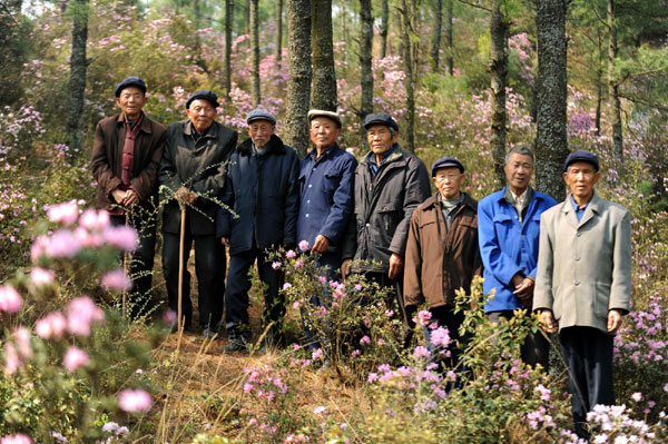 Friends turn mountain into luscious forest