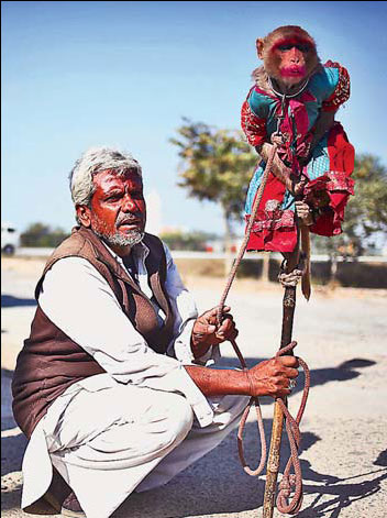 Colors of India