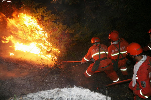 Firefighters battle forest fire in SW China