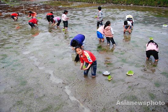 Children help with spring plowing in SW China