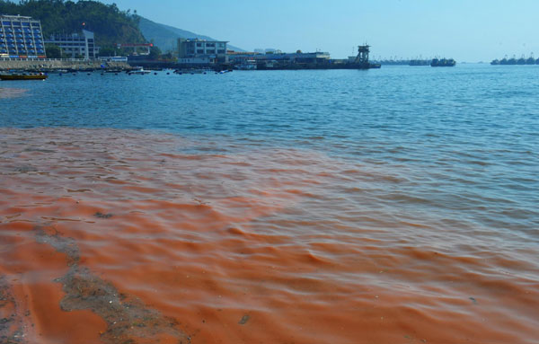 The parting of the red sea in China