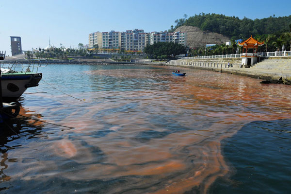 The parting of the red sea in China