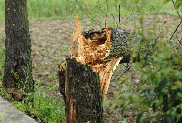 Hailstorm hits SW China's Guizhou province