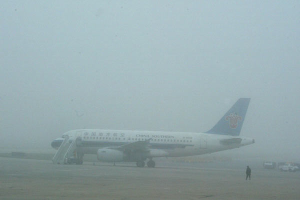 Fog disrupts flights, 3,000 flyers stranded