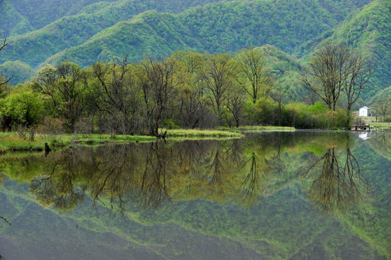 Fantastic view of Dajiuhu Lake Wetland Park