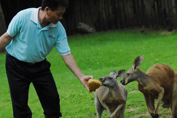 Dragon-sized snacks for animals in Shenzhen