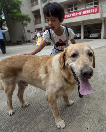 Police open day in Wuhan