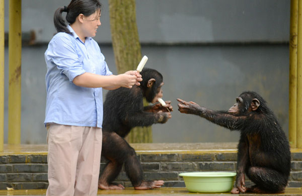 Keeping animals cool during heat wave