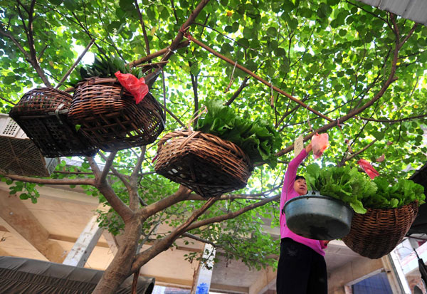 Self-service markets Guangxi-style