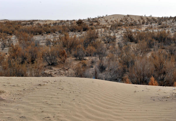 Dry lake in NW China on its way to recovery