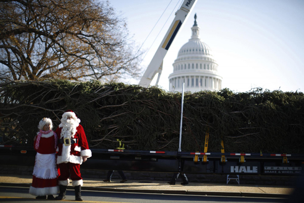 US Capitol Christmas tree installed