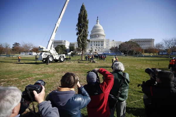 US Capitol Christmas tree installed