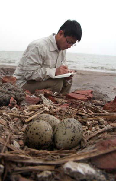 Helping birds in transit