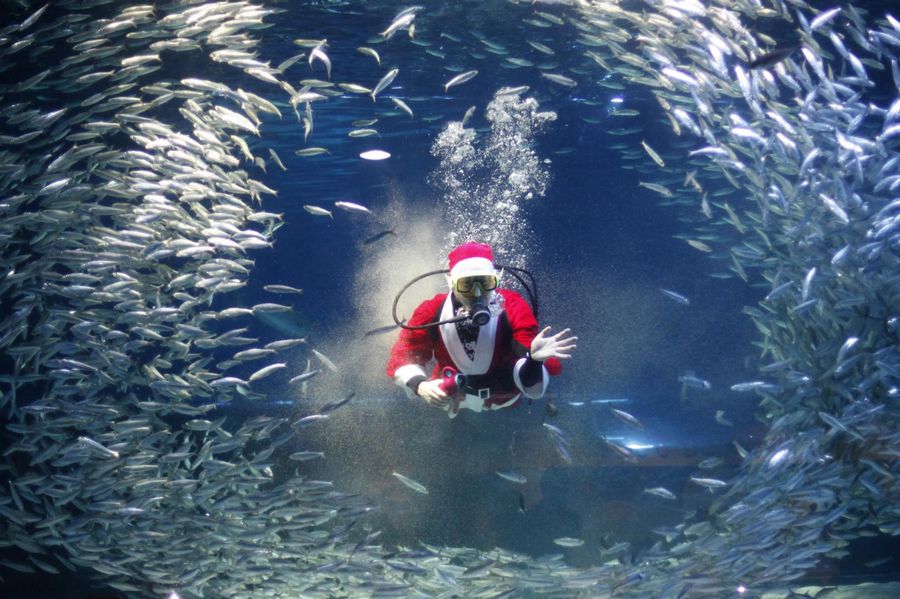 Photo special: Santa Claus gets around