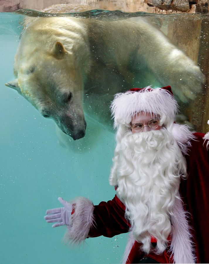 Photo special: Santa Claus gets around