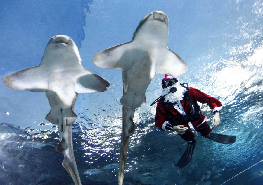 Photo special: Santa Claus gets around