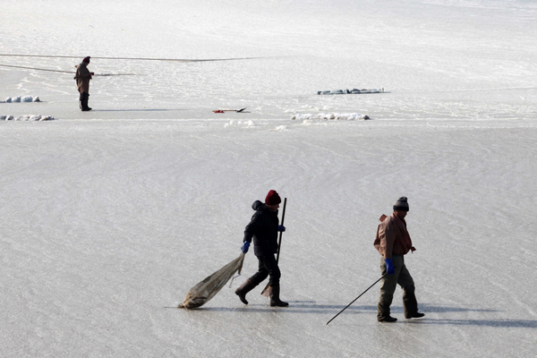 Sea freezes as mercury drops